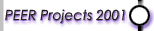 PEER Projects 2001