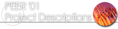 MICRA'00 Project Descriptions