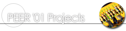 MICRA '00 Projects