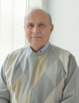 Ali Haghani